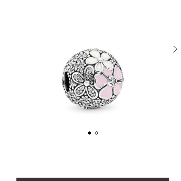 Pandora Poetic Blooms clips - Picture 1 of 2